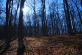 Clicca qui per vedere l'immagine in dettaglio